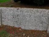 image of grave number 175355